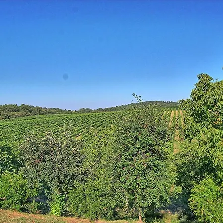 Sole Nel Prato Villa